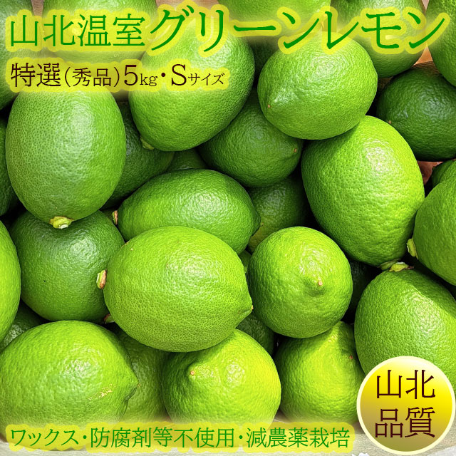 山北の温室グリーンレモン（ハウス栽培）・秀品（特選クラス）・約5kg箱・Sサイズ
