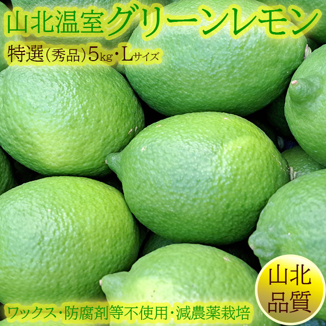 山北の温室グリーンレモン（ハウス栽培）・秀品（特選クラス）・約5kg箱・Lサイズ