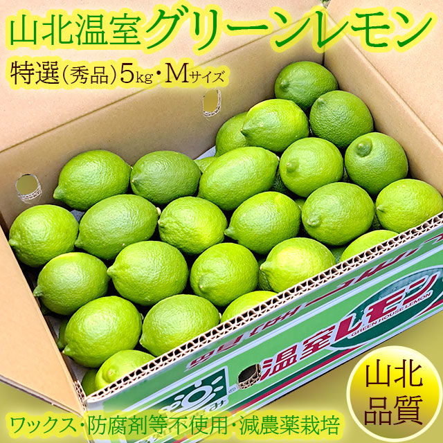 山北の温室グリーンレモン（ハウス栽培）・秀品（特選クラス）・約5kg箱・Mサイズ