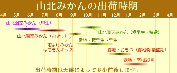 山北みかん 通信販売