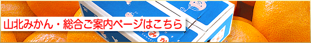 山北みかん・総合ご案内ページへ