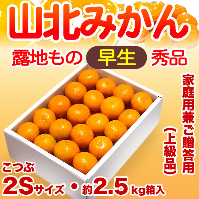 山北みかん・早生（わせ）・2.5ｋｇ箱入り・秀品・上級品（家庭用兼ご贈答用クラス）・こつぶ2Sサイズ