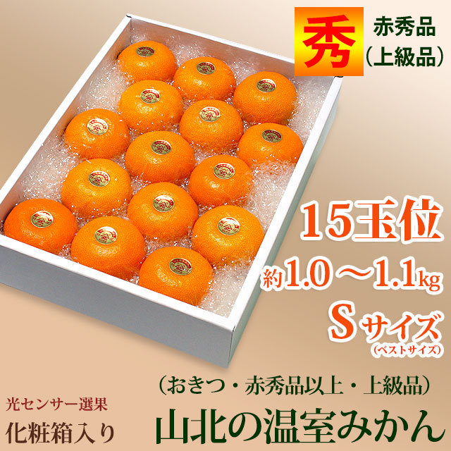 山北温室みかん（おきつ系品種・赤秀品・ご贈答ハウスみかん）約1.0～1.1kg（約15玉）・Sサイズ【送料無料】