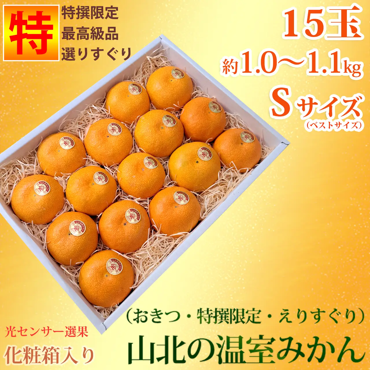 山北温室みかん（おきつ系・特撰限定えりすぐり・ご贈答ハウスみかん）約1.0～1.1kg（約15玉）・ハイクラス・Sサイズ