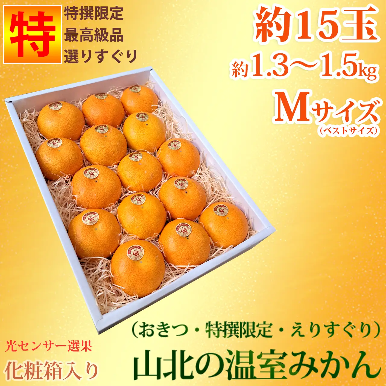 山北温室みかん 特撰15玉Mサイズ 最高級みかん