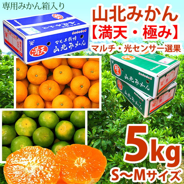 【送料無料】山北みかん・山北みかん・「満天・極み」・露地もの（極早生～早生～興津）・光センサー選果・マルチ・赤秀品以上（特撰ご贈答クラス）・5kg箱・S～Mサイズ