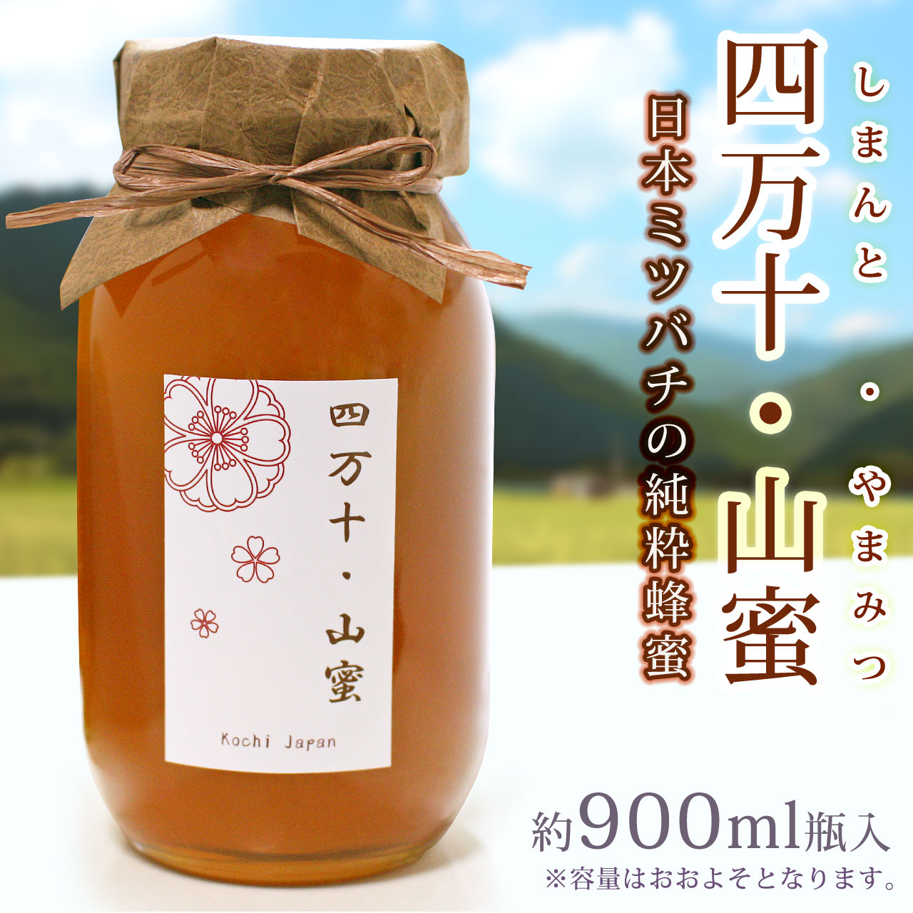 日本蜜蜂の蜂蜜・四万十・山蜜 900ml