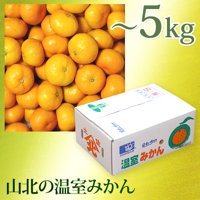 山北の温室みかん・極早生～早生・赤秀品以上・5kg・Sサイズ