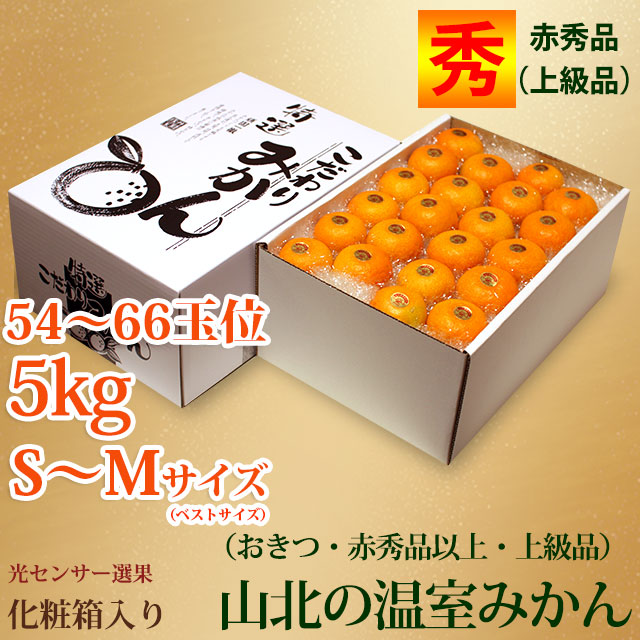 山北温室みかん（おきつ）赤秀品えりすぐり・約5kg・ギフト化粧箱